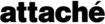 Attaché Software's company profile