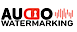 Intrasonics's Competitor - Audio Watermarking logo