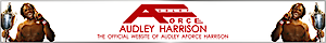 Audley's logo Audley's Company logo