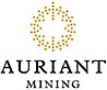 Auriant Mining's logo Auriant Mining's Company logo