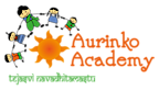 Aurinko Academy