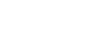 Austin Prestige Limo