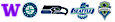 Auto Battery