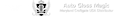 Rockville Auto Group's Competitor - Auto Gloss Magic logo