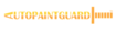 Auto Paint Guard