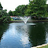 Autos In The Park - June 1, 2014's logo Autos In The Park - June 1, 2014's Company logo
