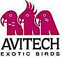 Avitech Exotic Birds,LLC's logo Avitech Exotic Birds,LLC's Company logo
