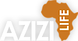 Azizi Life