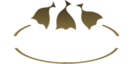 Bacalao Desalado's logo Bacalao Desalado's Company logo