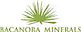 Bacanora Minerals