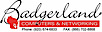 Badgerland Computers & Networking