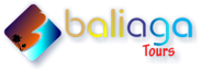 Bali Aga Tours