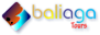 Bali Aga Tours