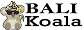 Bali Koala