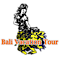 Bali Vacation Tour