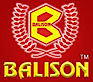 Balison Locks's logo Balison Locks's Company logo