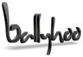 Ballyhooindia's logo Ballyhooindia's Company logo