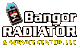 Theshop26's Competitor - Bangor Radiator logo