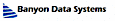 Banyon Data Systems