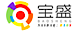 Baosheng 's company profile