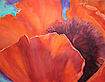 Barbara Gorman Crawford's logo Barbara Gorman Crawford's Company logo
