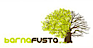 Barnafusta
