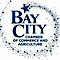 Bay City-city Of--bay City Civic Center