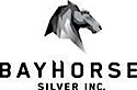 Bayhorse Silver's logo Bayhorse Silver's Company logo