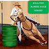 Bbrs's logo Bbrs's Company logo