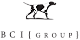 BCI Group, Inc