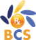 BCS's logo BCS's Company logo