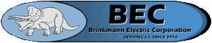 Brinkmannelectric