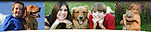 Beechnut Animal Hospital's logo Beechnut Animal Hospital's Company logo