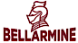 Bellarmine's company profile