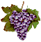 Visitloudoun's Competitor - Belle Mount Vineyards logo