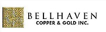 Bellhavencg's logo Bellhavencg's Company logo