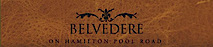 Belvedere On Hamilton Pool Road