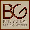 Bengerstreininghorses's logo Bengerstreininghorses's Company logo