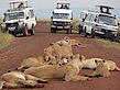 Bencia Africa Adventure & Safaris