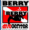 Berry Dive Center's logo Berry Dive Center's Company logo