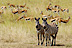 Best Holiday Deals4u - Kenya