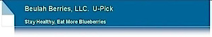 Beulah Berries Llc U-pick's logo Beulah Berries Llc U-pick's Company logo
