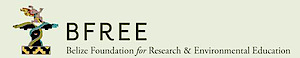 Bfree Belize