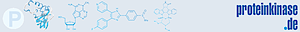 Proteinkinase's logo Proteinkinase's Company logo