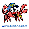 Passbeach's Competitor - Bibioneonline Srl logo