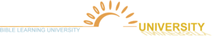 Bibleinteract's logo Bibleinteract's Company logo