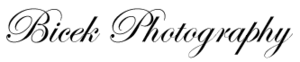 Bicek Photography's logo Bicek Photography's Company logo
