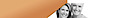 Bicentennial Dental Pc