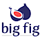 Big Fig Mattress