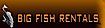Matt Snowball Music's Competitor - Big Fish Rentals logo